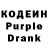 Кодеиновый сироп Lean Purple Drank ProfiGear fitter